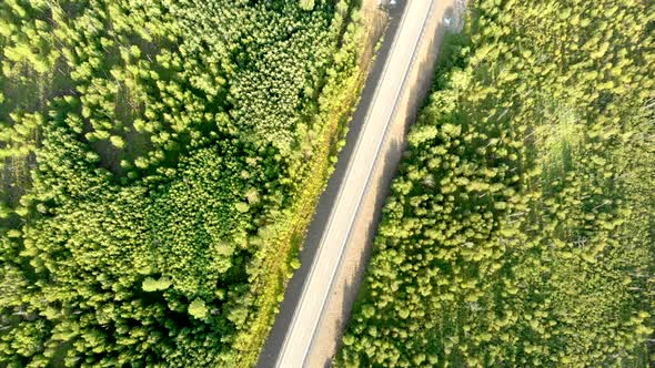 Aerial Birds Eye View Over an Empty Country Road Without a Car Between Forest.