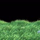 Easter Egg on Grass Slow Blowing - VideoHive Item for Sale