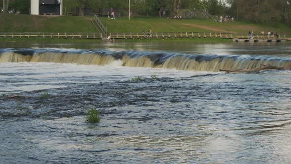 Flying Fish at Ventas Rumba Waterfall. The Widest Waterfall in Europe in Latvia Kuldiga alt