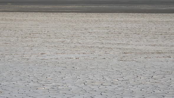 Dry Arid Mudcracks alt