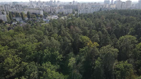 Megalopolis Next To the Forest: the Contact Between the Big City and Nature. Aerial View. Slow alt