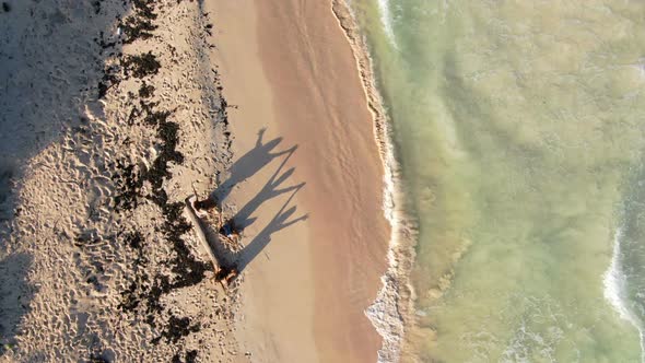 Three Women Relaxing in Tulum Beach Rivera Maya Aerial