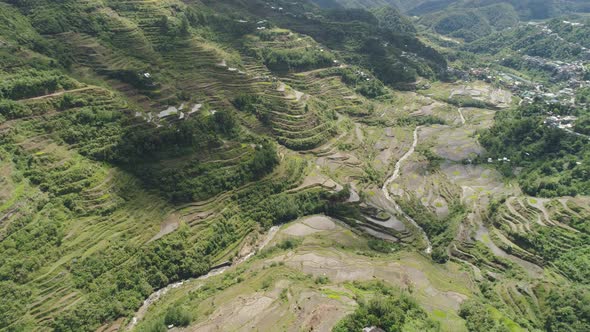 Rice Terraces Mountains alt