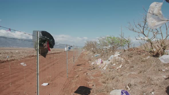 Nature Ecology Disaster Predicted By Scientists Climate Change Cause  Video alt