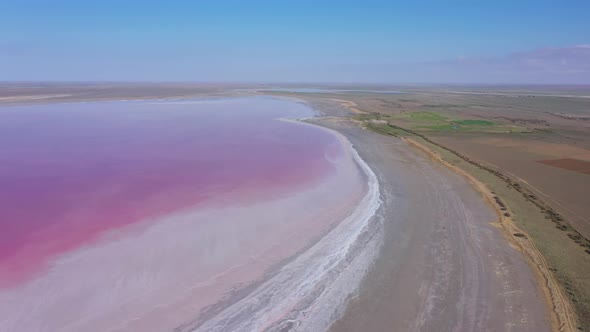 Pink Salty Lake Manych