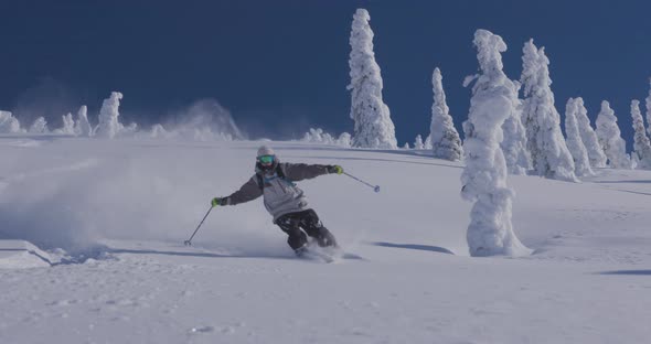 Downhill Skier- Shredding Fresh Powder alt