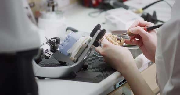 A female dentist technologist holds a mock-up of a jaw in her hands. Making dentures alt
