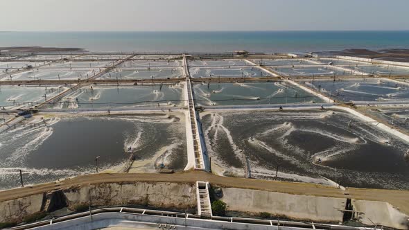 Shrimp Farming in Indonesia alt
