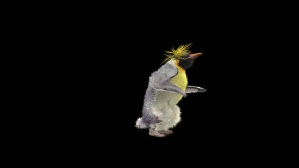 Penguin Dancing HD alt