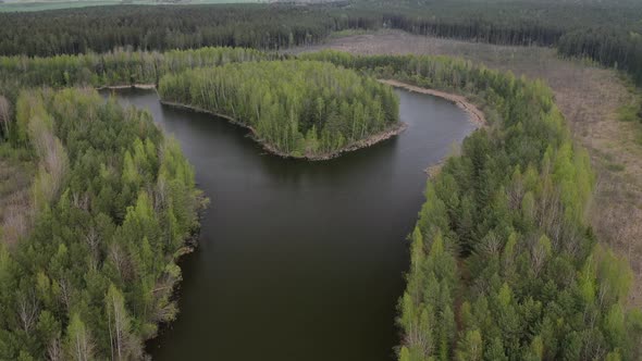 Top View of a River in a Forest in Eastern Europe