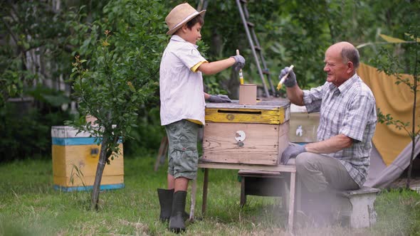 Apiary Caring Grandfather Together with Hardworking Grandson Use Bushes and Paints to Prepare Hives alt