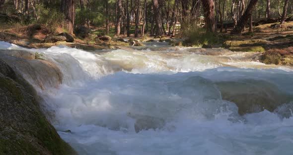 Crystal Water in Forest Mountain River. Deep In The Mountains