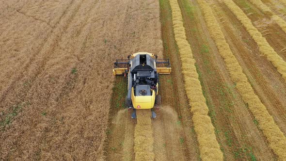 Farmer In Combine Harvester Collecting Wheat In Agricultural Field At Summer Day alt