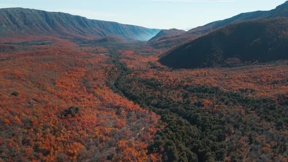 Aerial view of an immense landscape with blue sky, mountains and vegetation at daytime alt