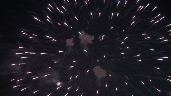 Fireworks exploding in the night sky which make dark background to colorful and beautiful shape