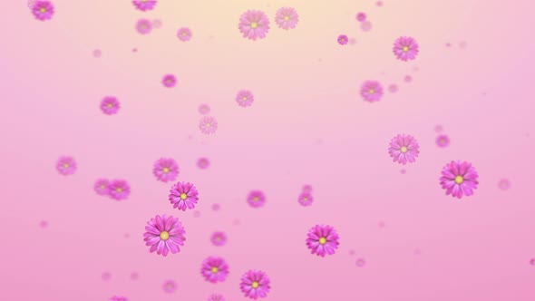 Pink flowers appearing  background alt