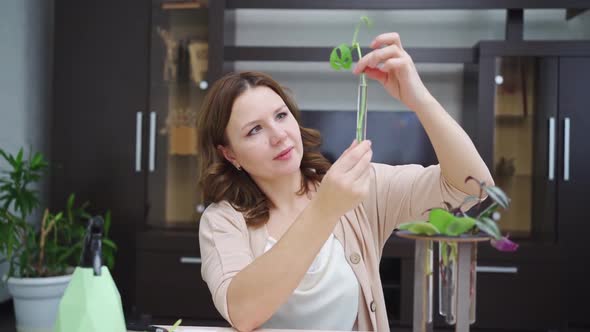 Woman Roots Indoor Plant Sprouts in Special Glass Flasks alt