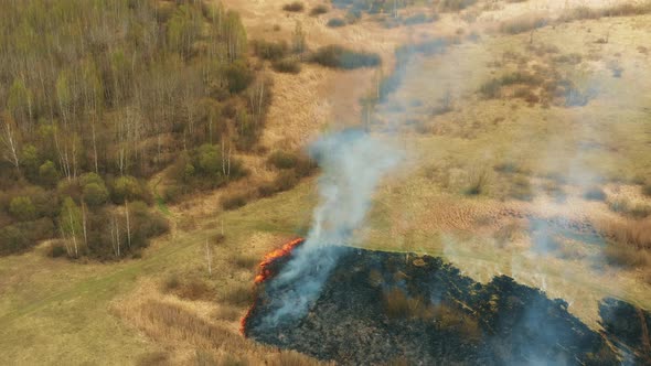 Aerial View Spring Dry Grass Burns During Drought Hot Weather alt
