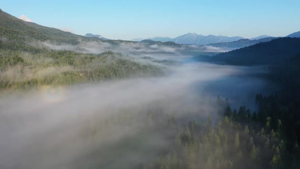 Flight over forest with early morning fog, lake Ferchensee, Bavaria alt