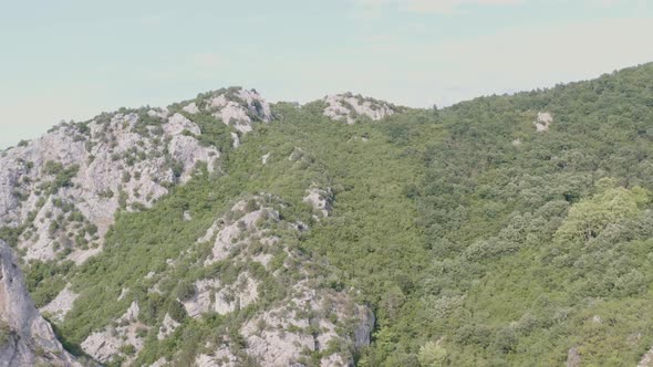 Flight Into the Valley