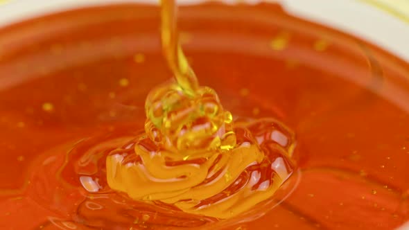 Natural Flower Honey Flows Into Bowl Slow Motion Close Up, Concept of Beekeeping