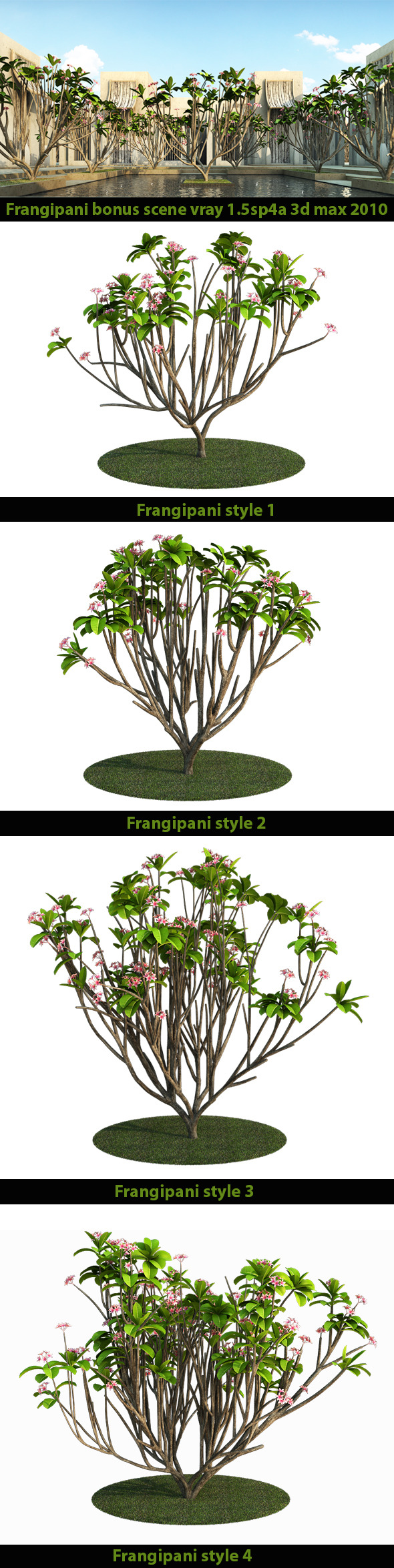 Frangipani Tree v.2 - 3Docean 7185729