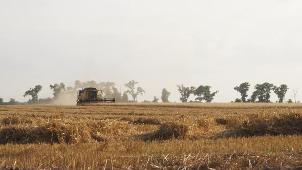 Modern Agricultural Harvester Mows, Cuts Spikelets Of Wheat. Agricultural Harvesting Works alt