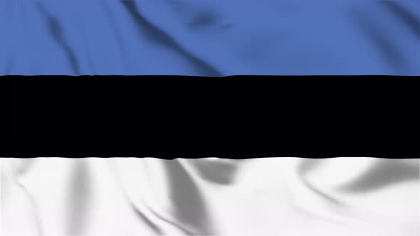 4K Estonia Flag - Loopable