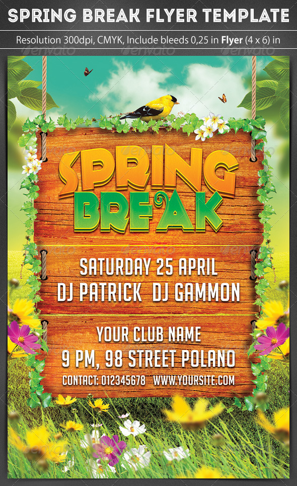 Spring Break Party Flyer