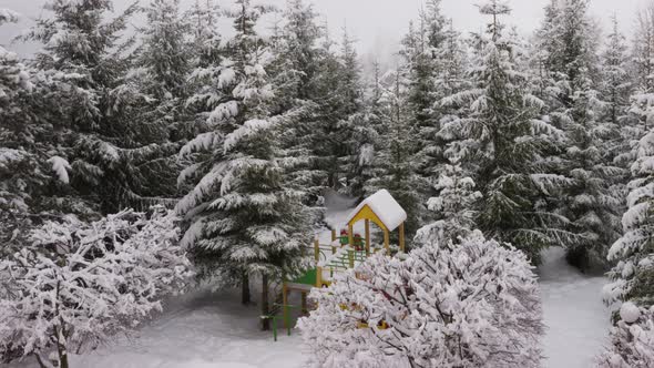 Winter Carpathian Landscape, Christmas Trees in the Snow alt