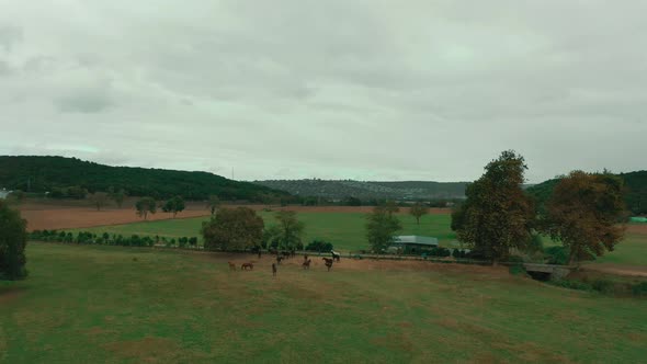 hill view of horse farm