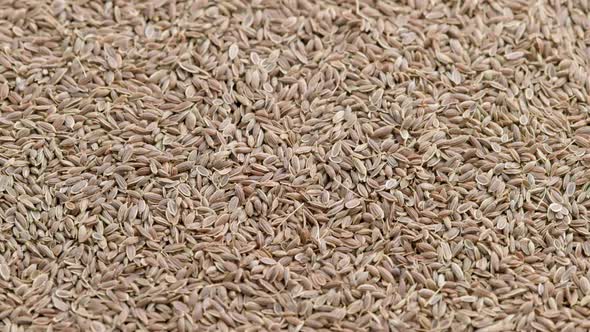 Dry Dill Seeds on Flat Surface Slow Rotating Looped Background alt