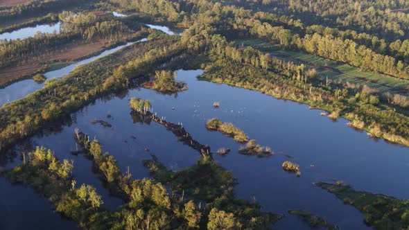 Aerial Drone Shot Flying Over River Delta and Flooded Farmlands in Netherlands alt