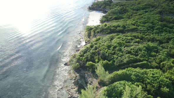 Coast of Zanzibar Island Tanzania Covered with Thickets alt