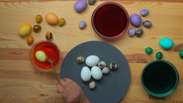 Hand Puts Chicken Eggs Into Bowls with Coloring Solution To Dye It for Easter alt