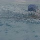 Freestyle Swimming - VideoHive Item for Sale