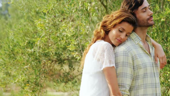 Romantic couple embracing each other in olive farm alt