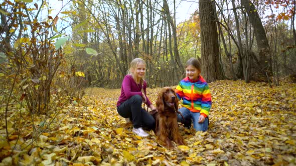 Two little sister girls play in the autumn Park with an Irish setter dog.