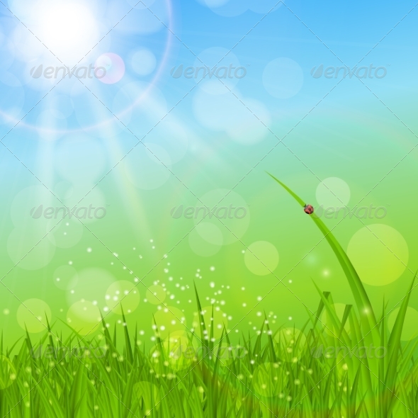 Summer Abstract Background with Grass - Flowers & Plants Nature