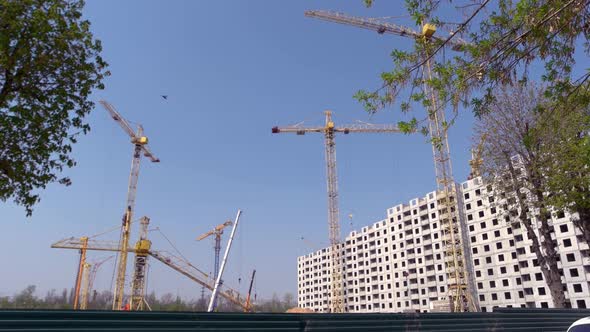 Several Yellow Cranes Over Blue Sky Background alt