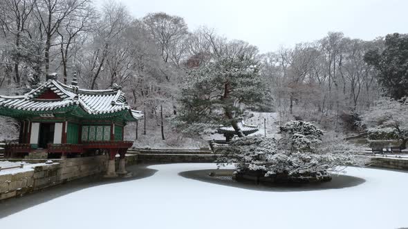 Changdeokgung Palace Secret Garden in winter Seoul  South Korea 