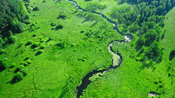 Stunning winding river and green swamps at sunrise, Poland alt