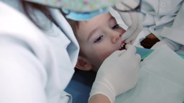 Woman Dentist Examines Baby Teeth of Little Boy Patient in Clinic alt