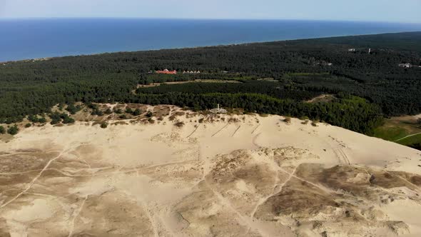 AERIAL: flying to the forest during daytime over the golden color sand dunes alt