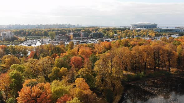 Aerial View of the Autumn Park with Bright Yellow Trees and the Zenit Arena Stadium in St alt