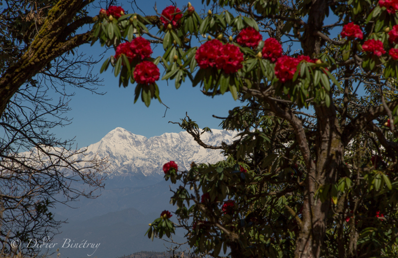 Mountains and snow peaks of north India