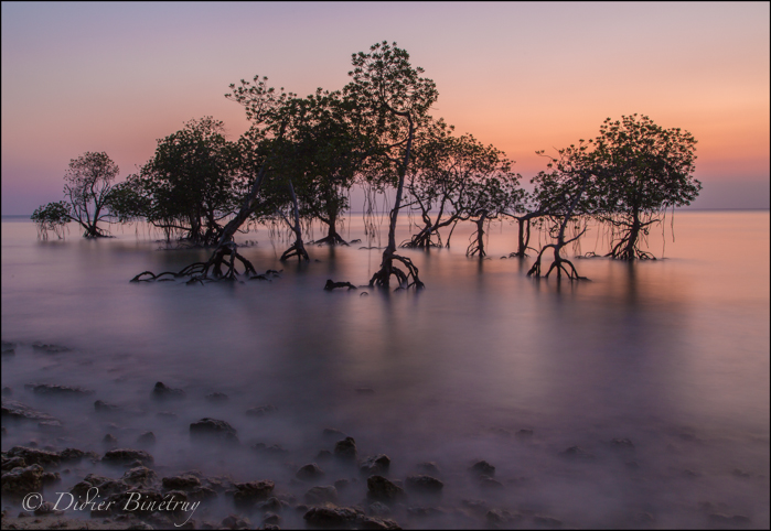 Andaman Islands India