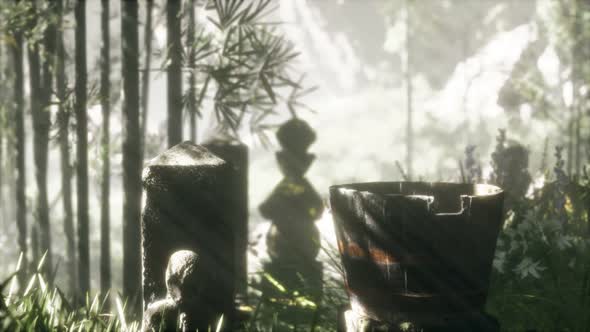 Japan Bamboo Forest and Green Meadow Grass with Natural Light alt