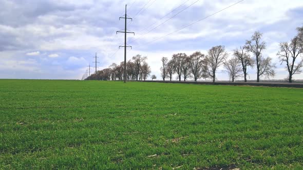 Power Line with Poles on a Green Field alt