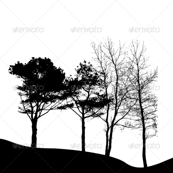 Tree Silhouette Isolated on White Background - Seasons Nature